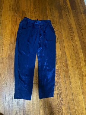 Banana Republic Deep Navy Satin-Effect Joggers
